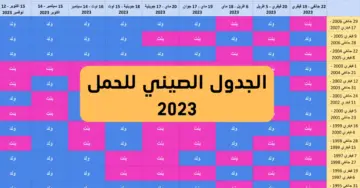 طريقة حساب الجدول الصيني الصحيحة 2023