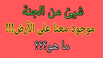 اسئلة عامة واجابتها 2023 “+500 سؤال وجواب عام مع الحل”